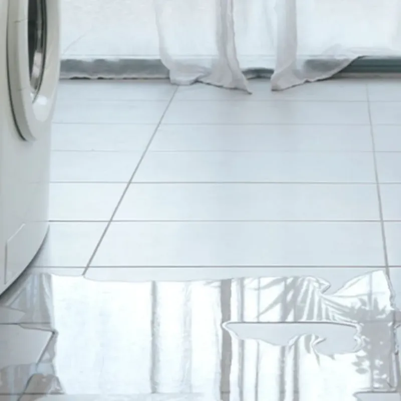 Appliance Leak Cleanup in Woodbranch, TX