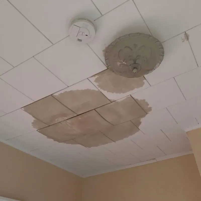 Ceiling Water Damage Repair in Woodbranch, TX