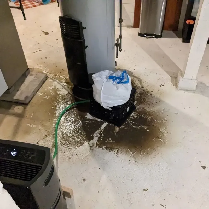 Sewage Backup Cleanup Service in Woodbranch, TX